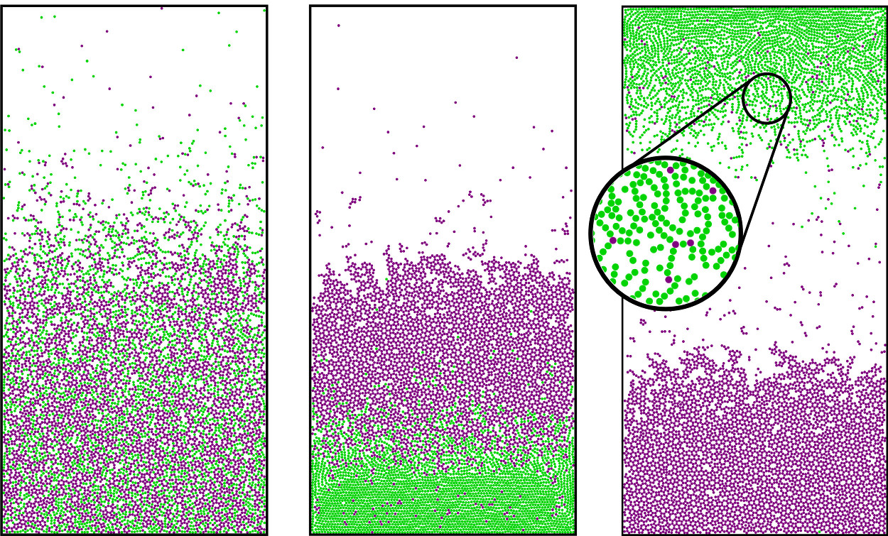 Snapshots of the simulations