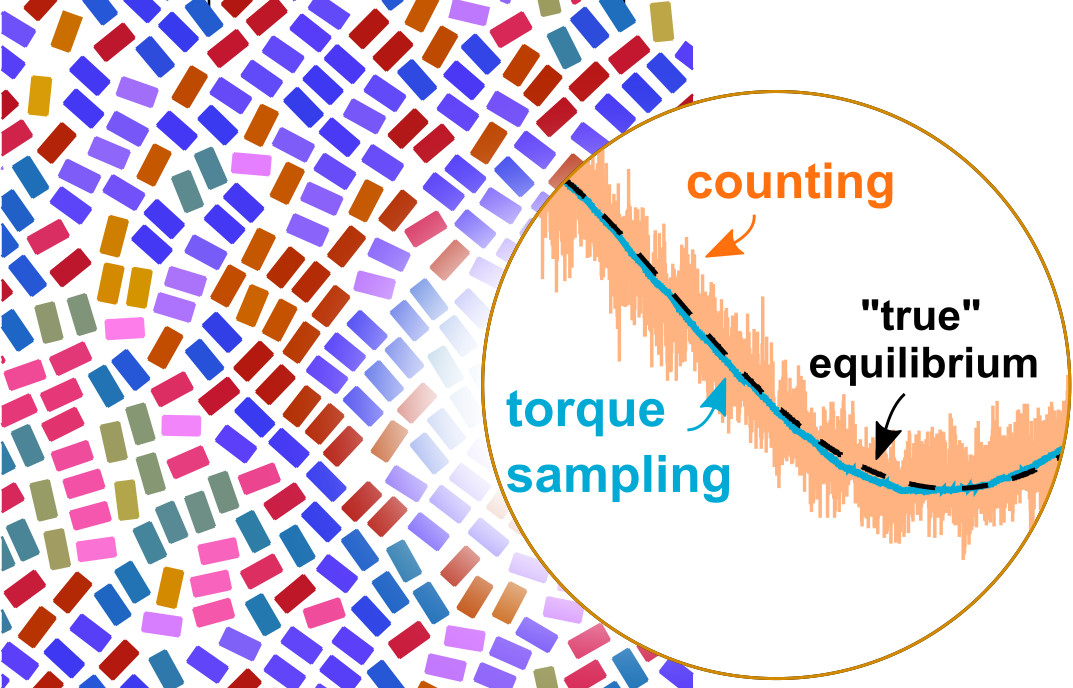 Torque sampling the orientational distribution function